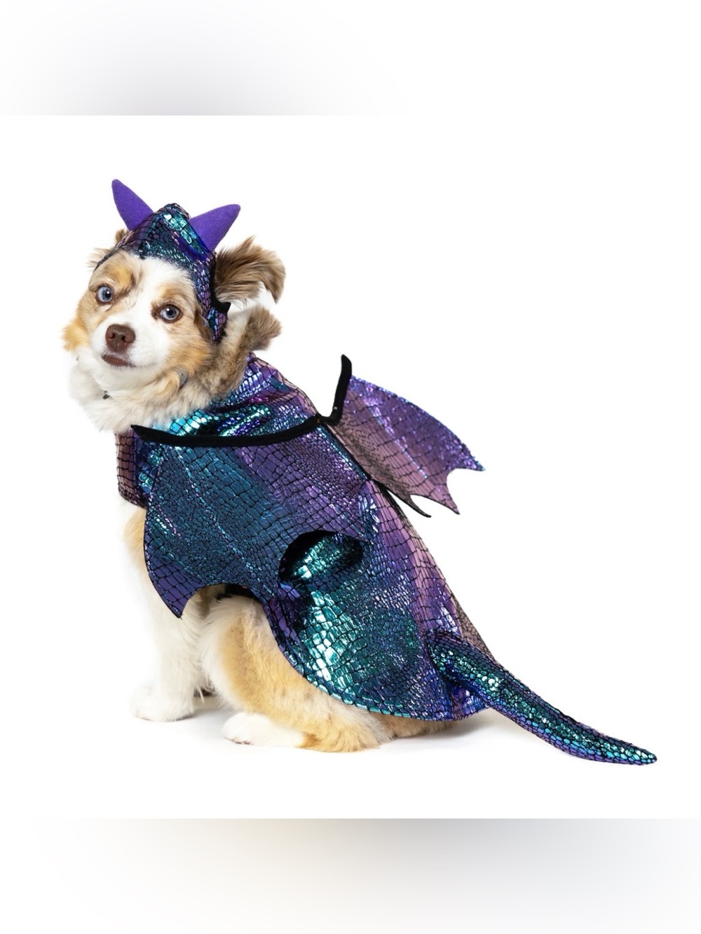 Vibrant Life Dragon Dog Costume Iridescent Metallic Purple Teal Wings Hat M